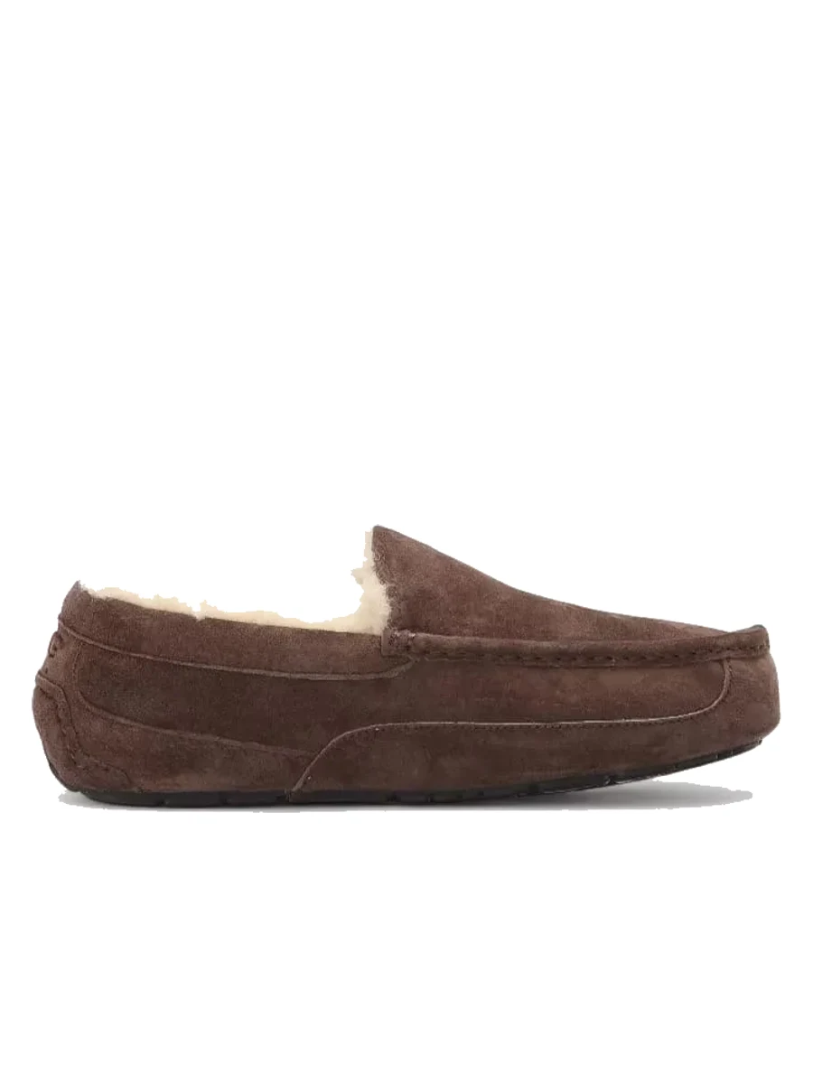 UGG Mens Ascot Chocolate